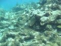 Antigua Diving Antigua Diving