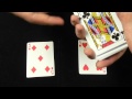 The Shark Card Trick - Performance