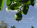 IURD-IGREJA UNIVERSAL