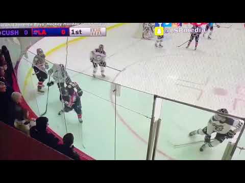 Damien Carfagna 2019-20 Highlights