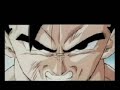 tribute to dragonball