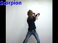 scorpion  critical system mix  / oriental space