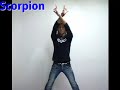 scorpion  critical system mix  / oriental space