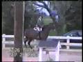 Satin Jewel- 1997 bay mare- sold