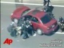 Police Dogs Vs Criminals (Part - 12)