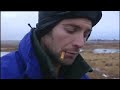 Welcome to bear jail - Vets in the Polar Bear Wild - BBC animals