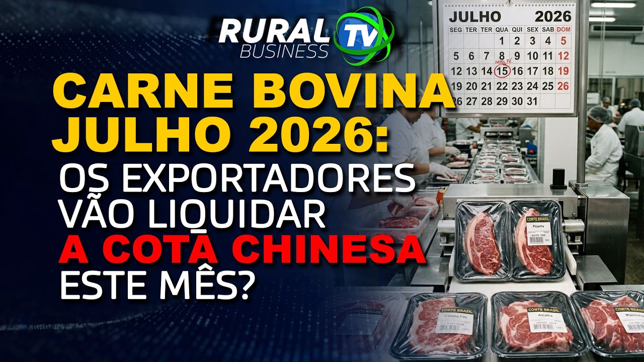 CARNE BOVINA JULHO 2026: OS EXPORTADORES VÃO LIQUIDAR A COTA CHINESA ESTE MÊS?