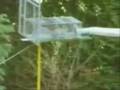 videos de The Squirrel Assault Course
