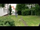 Belt CP hoovert immer noch mit dem Originalsender, da die DX6i einen Fehler am Throttlestick hat