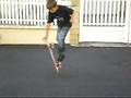 videos de bongo steevy