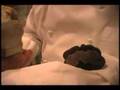 Maison Boulud - Welcome Video