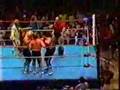 Bladerunners UWF Brawl!