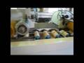 EMS-65 Edge Band Extrusion Machine Line-1.mpg
