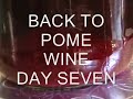 POMEGRANATE WINE MAKING AT HOME part 2. POMEGRANATE WINE MAKING AT HOME part 2.