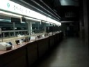 A deserted hospital lobby in Korea