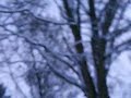 19.12.2009 ein kleines Dorf i.wo in Norddeutschland teil 5