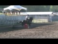 videos de SPLASH DASH & Linda Geensen