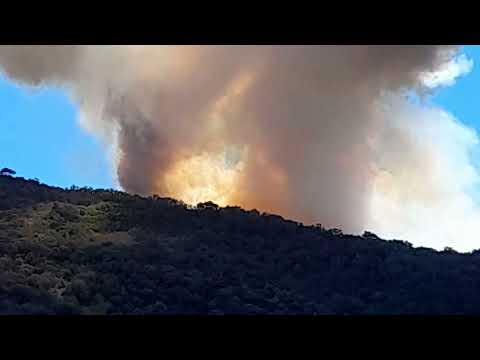 Elba, incendio fra Capo d'arco e Ortano