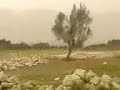 khoros