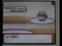 pokemon wifi battle 3.html