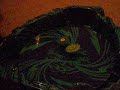 beyblade battle in the thunder rumbler stadium