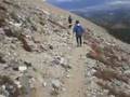 Hiking poles