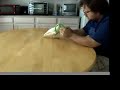 Stupid Goffin Cockatoo Tricks 3