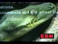 EBN - Psychoactive drugs