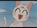 やっぱりまもちゃんでした〜♪