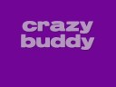 interactive buddy 4