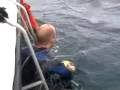 Smells Like Rubby Dubby - Blue Shark