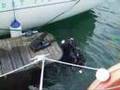 diving for gold off Natuna