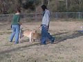 12-29-09 - chewy/tex
