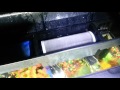 Eclipse 2 Pfe 2 Lighting And Filtration Aquarium Hood System
