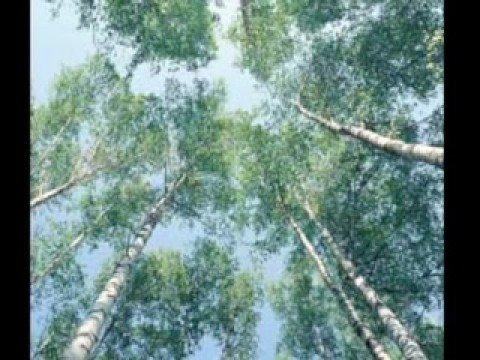 Посмотреть видео клип