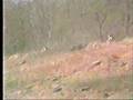 Motocross-Crashes-80