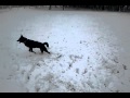 Sway and the snow