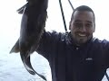 Yellowtail fishing  San Carlos Mx. Guaymas