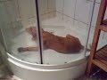 Alma is having a shower by herself