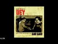 She Said (Album Version)