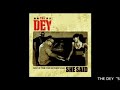 She Said (Album Version)