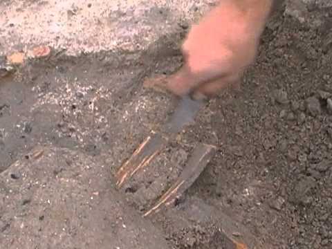 guarda il video