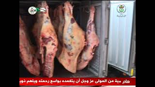 توزيع اللحوم الحمراء المستوردة بمناسبة شهر رمضان بسعر لا يتجاوز 1200 دج