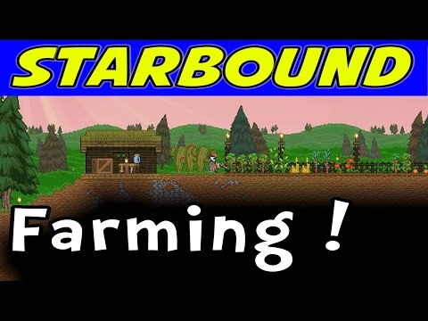 Starbound | E05