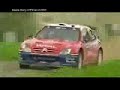 rally-robinelchehotmailcom.html