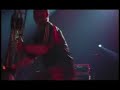 Skunk - Dirua