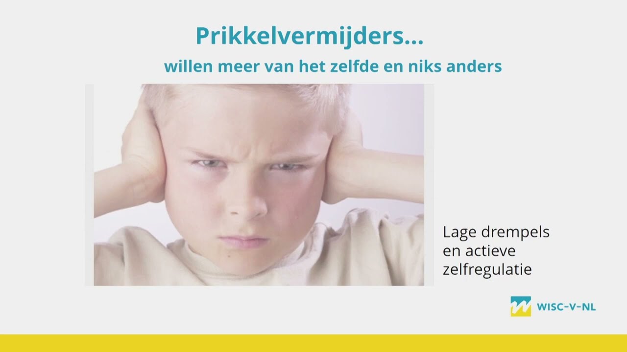 Sensorische informatieverwerking door André Rietman