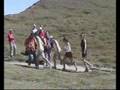 videos de Chamonix.net Ultra Trail du Mont Blanc 2008