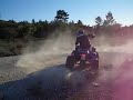 da luz e nelson - honda sportrax 450r e yamaha warrior 350x