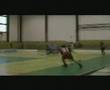 Panek florball